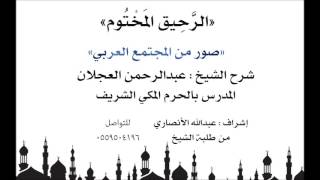 الرحيق المختوم | شرح الشيخ عبدالرحمن العجلان | صور من المجتمع العربي image