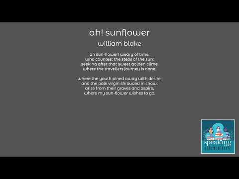 william blake - ah! sunflower