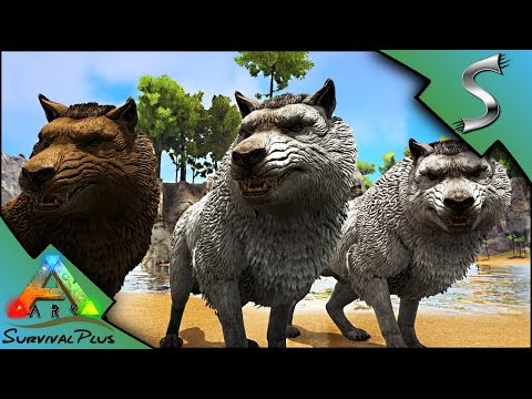 DIREWOLF TRUST TAME! COOL NEW METHOD OF TAMING! - Ark: Survival Plus [Gameplay E17]