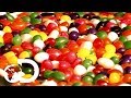 Jelly Beans | How It's Made