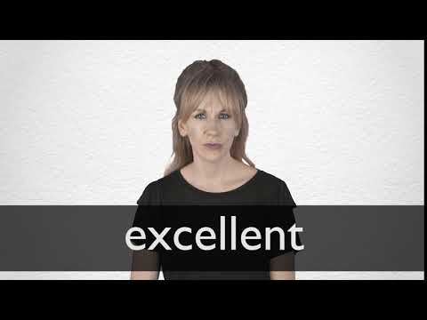 Italian Translation Of “Excellent” | Collins English-Italian Dictionary
