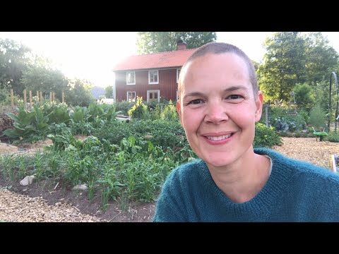 Bra trädgårdstankar