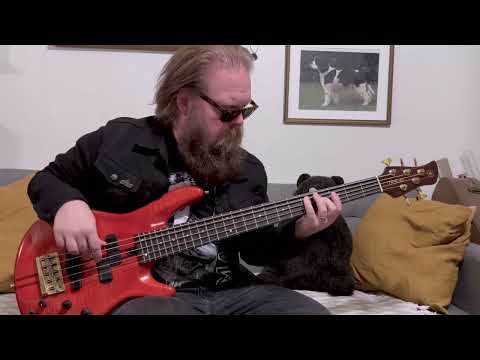 Kristoffer Helle - The Buggles - Video Killed the Radio Star - Bass
