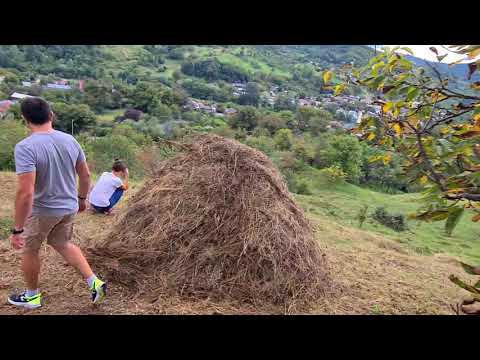 Ganduri bune din Mera Vrancea