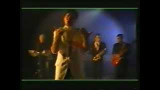 Elite - I can't stand it