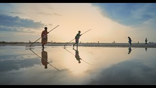 Tamil Nadu Salt Corporation Limited | Corporate film | English