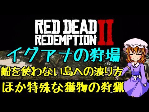 園芸 白い縞模様のダッチパイプ、ウマノスズクサ