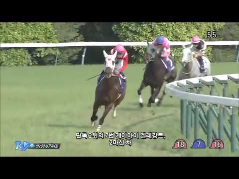 2015년 빅토리아 마일 - 스트레이트 걸 / 유리 구두의 마법이 걸리다