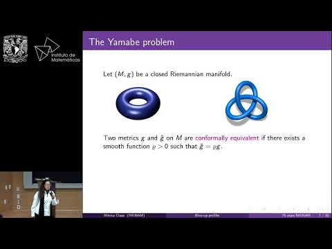 New blow up profiles for Yamabe type problems