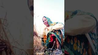 Download lagu Laut ke Na aaungi#song mp3 Download lagu Laut ke Na aaungi#song mp3