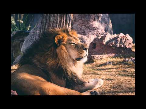 Alpha Motivation -  Love the Process ft.  Eric Thomas