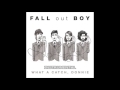 Fall Out Boy - What A Catch, Donnie ...