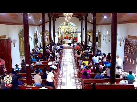 ‎🔴 EN VIVO | Santa Misa del XX Domingo del Tiempo Ordinario.