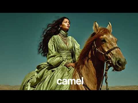 Amir Telem - Moonlight Sands (Cafe De Anatolia) [PREMIERE]