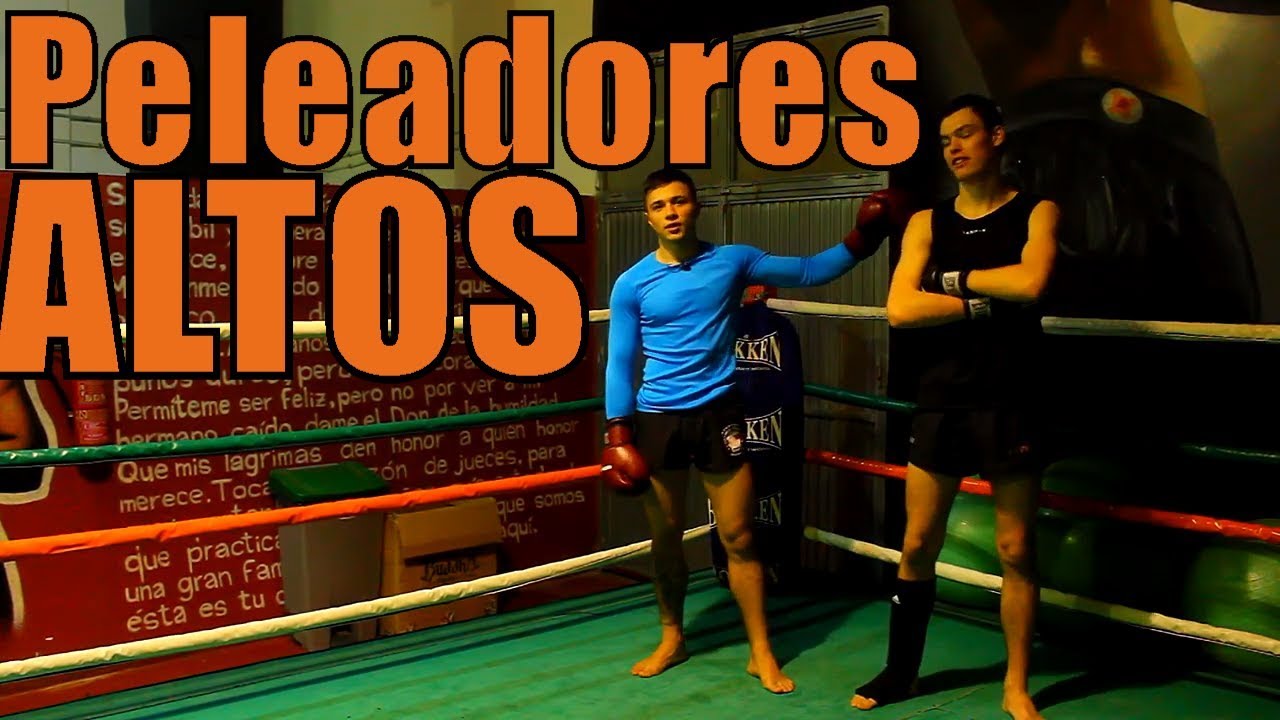 Técnicas contra PERSONAS más ALTAS que tú l Kick Boxing o MUAY THAI