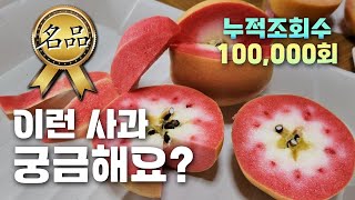 시장을 선점하는 신품종 속빨간 사과! 그런데 과피가 황금색? 묘목 예약 한정판매 시작 [JB가든센터_대림묘목…