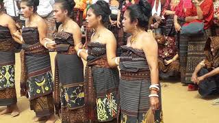 Download lagu Tarian Mure Nggela mp3 Download lagu Tarian Mure Nggela mp3