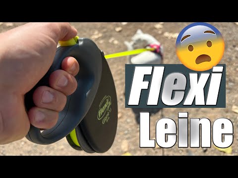 Flexileine JA oder NEIN? - Das solltest du WISSEN im Umgang damit!