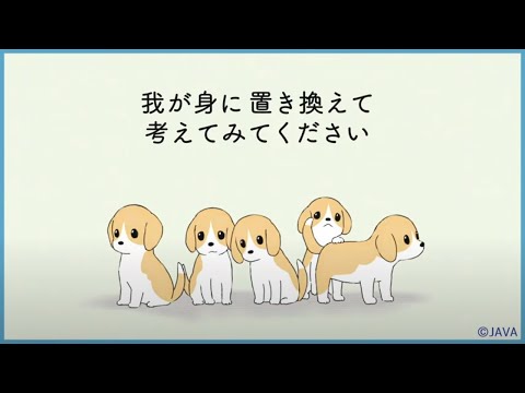 動物実験について詳しく解説