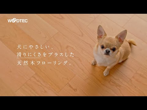 犬が滑りにくいフローリング「Live Natural for Dog」