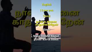 I love you Meaning I Hindi Language
