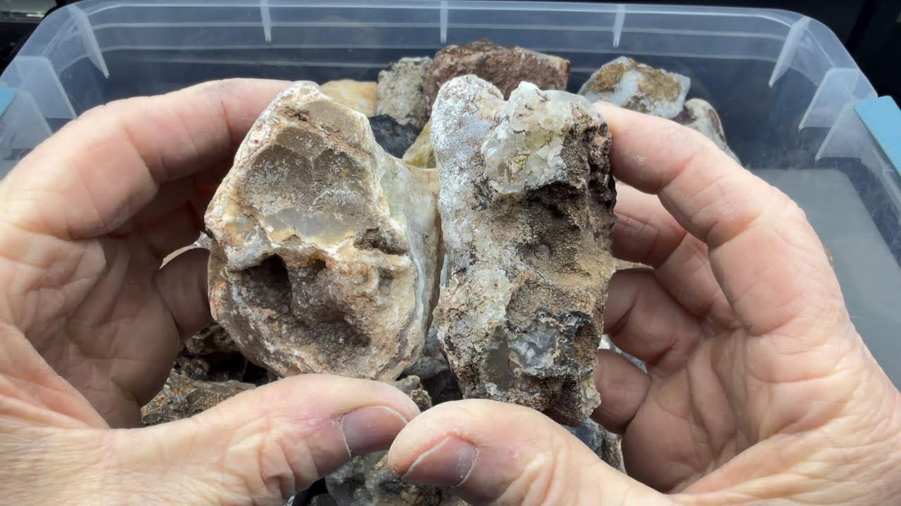 The Random Rock-Off Round 48