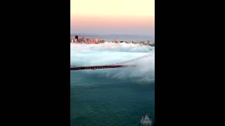 Taylor McFerrin   Degrees of light