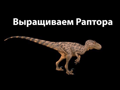 Выращиваем Раптора ( The Isle )