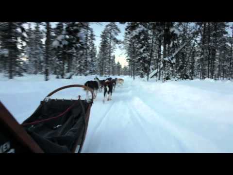 Fjällräven Polar: The Musher and his Dogs