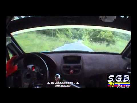 Rally Lanterna 2011 - Cameracar Alfonso Di Benedetto Alessandro Michelet - Peugeot 207 super2000