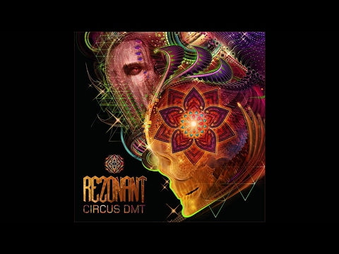 Rezonant - Circus DMT
