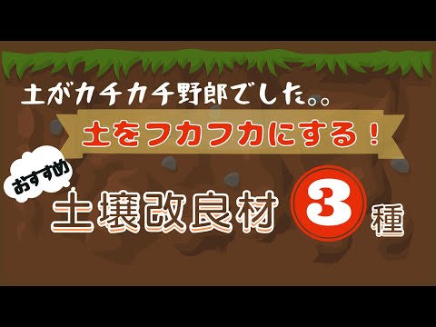 entretien-jardin-ameliorer-sol-coquilles-oeufs