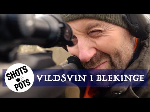 DEN BÄSTA DREVJAKTEN - 5 vildsvin, 2 dovhjortar och 1 rådjur.