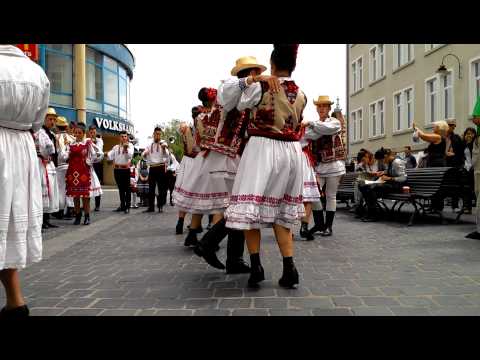 Ansamblul Folcloric "Florile Bihorului"