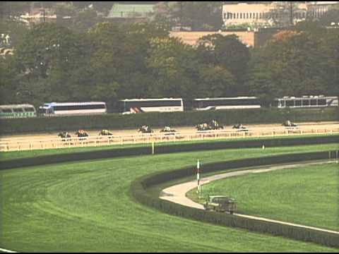 1995 Breeders' Cup Distaff