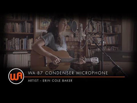 Warm Audio // Erin Cole Baker "This Guitar" - WA-87 Condenser Microphone