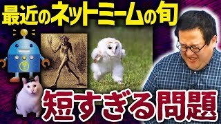 OP - 最近のネットミームの旬、いくらなんでも短すぎないか???