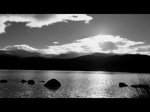 Astrantia  |  Monome Norns+grid // 16n Faderbank // Tape Ambient