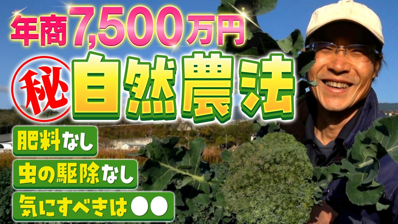 【職業紹介】自然農法家｜肥料なし! 農作業１日密着｜年商7,500万円の裏事情【橋本進】