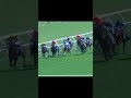 Horse racing #short #el padrino too good #ridden by jockey Jason Collett