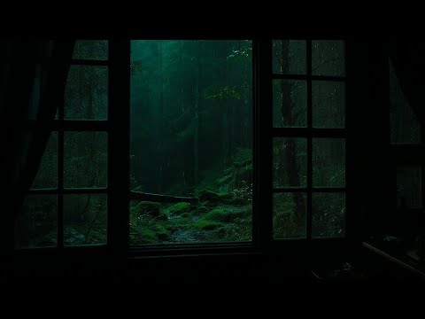 Chill Rain and 2 more