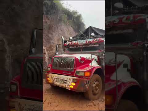 ¿Será que esta chiva también merece corona como la reina de Suárez, Cauca?