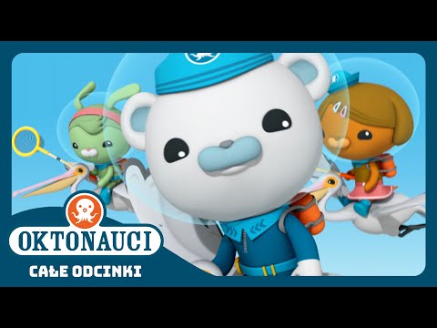 Oktonauci - 🌊 Pelikany 🐦 | Cały odcinek 6 | Seria 3