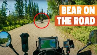 This region of Canada is FILLED with Wildlife. 🇨🇦 | Ep 12