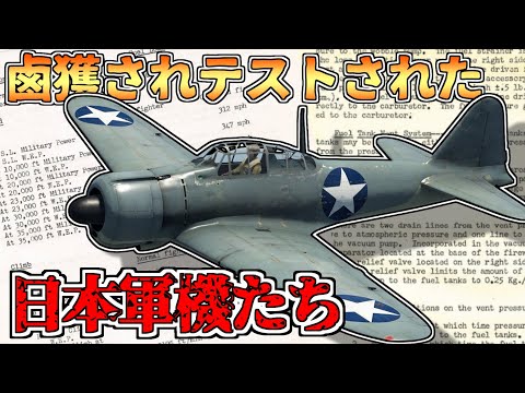 アフガニスタン空軍のラウンデル (1924-1929).svg