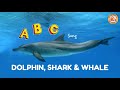 ABC Song Dolphin Shark Whale Singing Learning Abcd Together