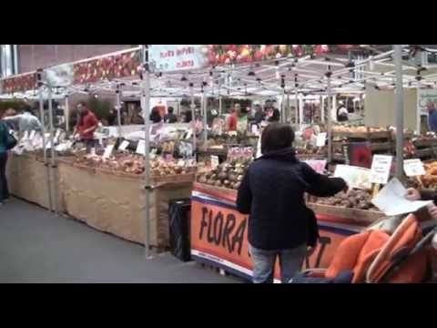 Web Tg Lapam_4° Puntata_aprile 2014