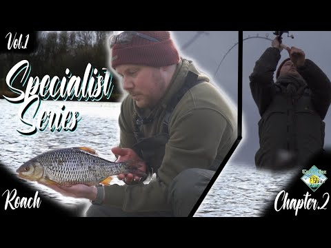 **TACKLEBOX SPECIALIST SERIES** |EP2| BIG PIT ROACH FISHING!
