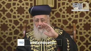 מרן הרב יצחק יוסף: "הדבר הכי טוב בחיים זה להיות תלמיד חכם!" (מורשת מרן) - התמונה מוצגת ישירות מתוך אתר האינטרנט יוטיוב. זכויות היוצרים בתמונה שייכות ליוצרה. קישור קרדיט למקור התוכן נמצא בתוך דף הסרטון