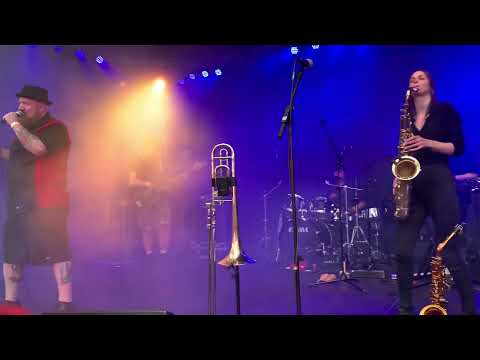 Dr. Ring Ding- The best of times (live Freedom Sounds 2023)